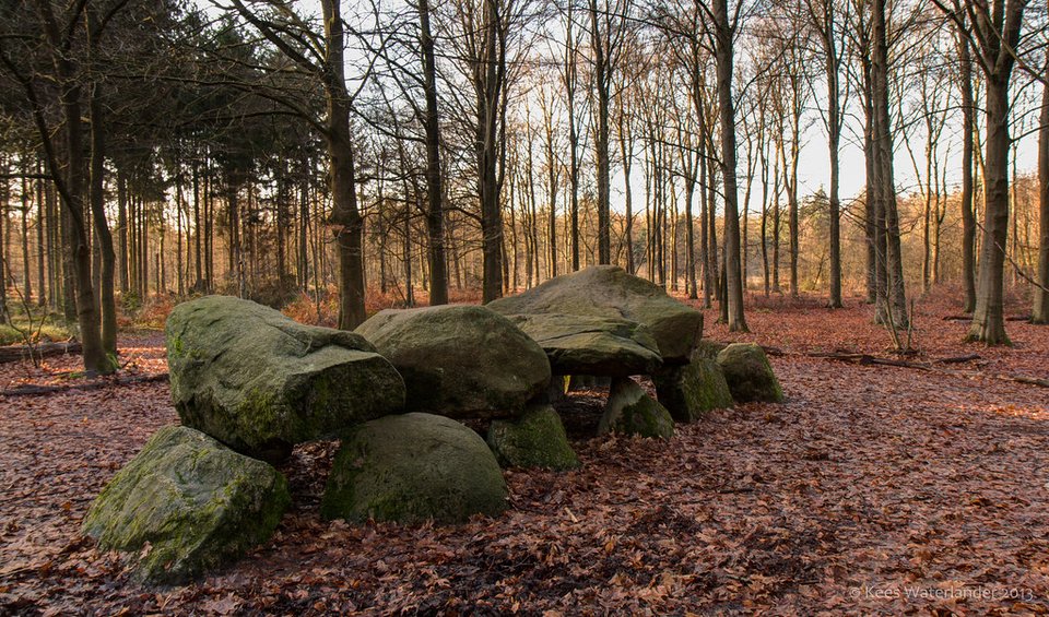 Hunebed D11 in de boswachterij van Anloo