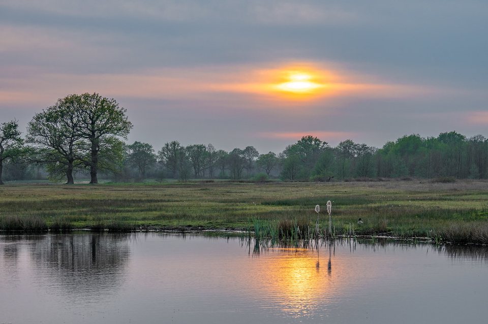 De Heest bij zonsondergang, 23 april 2020 – het open veld dat eeuwenlang gemeenschappelijke weidegrond was. De steen zelf staat er niet op. De licentie staat geen bewerkingen toe, dus het beeld is alleen verkleind naar 960 pixels, niet bijgesneden; naamsvermelding verplicht en niet-commercieel. https://www.flickr.com/photos/jrubels/49811339282/