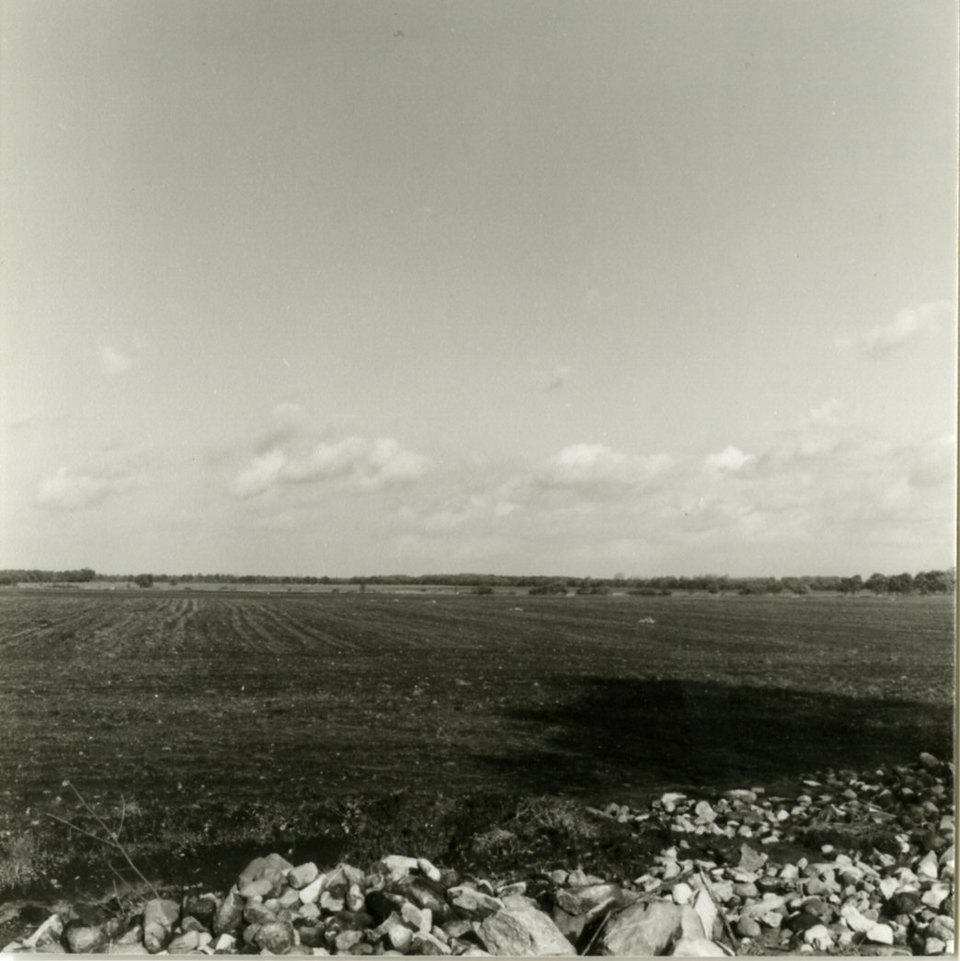 Het Eexterveld: blauwgrasland op waterdichte klei