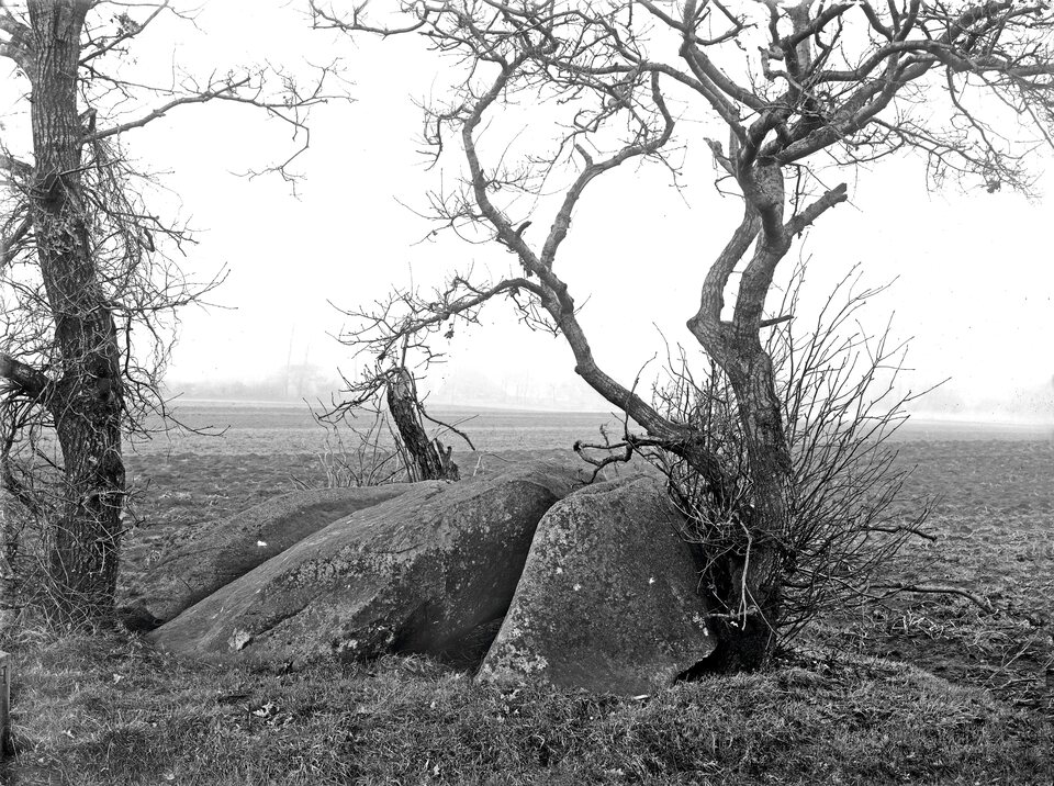 D12 in 1918, vóór de restauratie. Wat de foto vooral laat zien is het ruige terrein dat Van Giffen beschreef: de stenen gaan half schuil in het struikgewas aan de voet van twee scheefgewaaide bomen, met bouwland erachter.