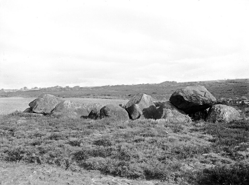 Hunebed D7 in 1918, vóór de restauratie: draag- en dekstenen liggen half weggezakt in de heide, met open veld eromheen. Deze opname staat als plaat 16 in Van Giffens De hunebedden in Nederland.
