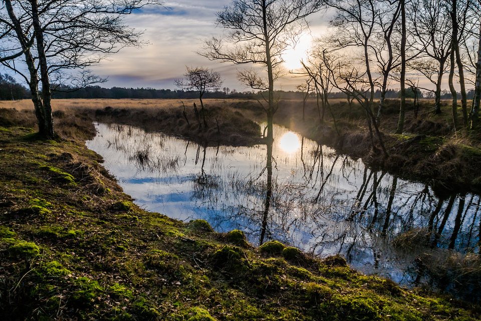 De fotograaf noemde dit 'Medieval cartracks, filled with water', 25 december 2013, zonder plaatsnaam of coördinaat. Het open heideveld met berken past bij het Balloërveld; zeker is het niet. De licentie staat geen bewerkingen toe, dus het beeld is alleen verkleind naar 960 pixels, niet bijgesneden; naamsvermelding verplicht en niet-commercieel. https://www.flickr.com/photos/jrubels/33046131986/