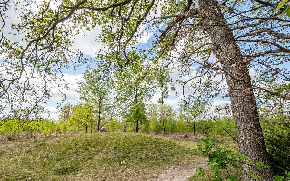 Een grafheuvel in het Kniphorstbos, kort gemaaid zoals het beheer voorschrijft, 25 april 2020. Niet een van deze twee: het punt van de foto ligt 1250 meter noordelijker, bij het driemarkenpunt. De licentie staat geen bewerkingen toe, dus het beeld is alleen verkleind naar 960 pixels, niet bijgesneden; naamsvermelding verplicht en niet-commercieel. https://www.flickr.com/photos/jrubels/49817993578/