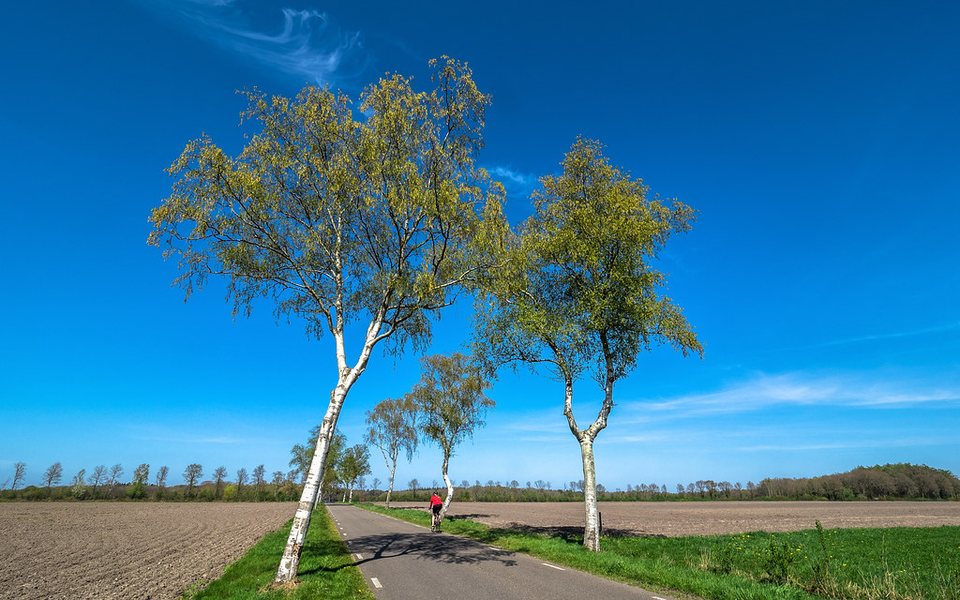 De Franse parachutisten aan de Schipborgerweg