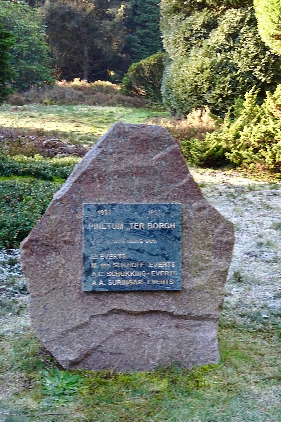 Pinetum Ter Borgh, een verzameling in het bos