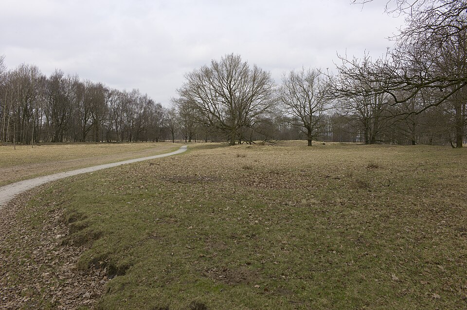 Antitankgracht en loopgraven van de Frieslandriegel