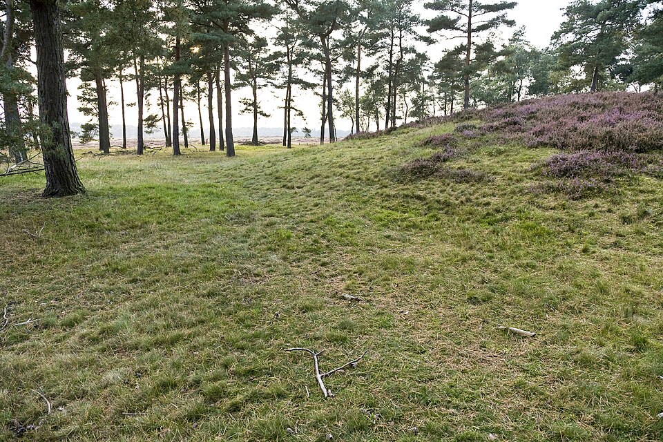 Karrensporen op het Balloërveld