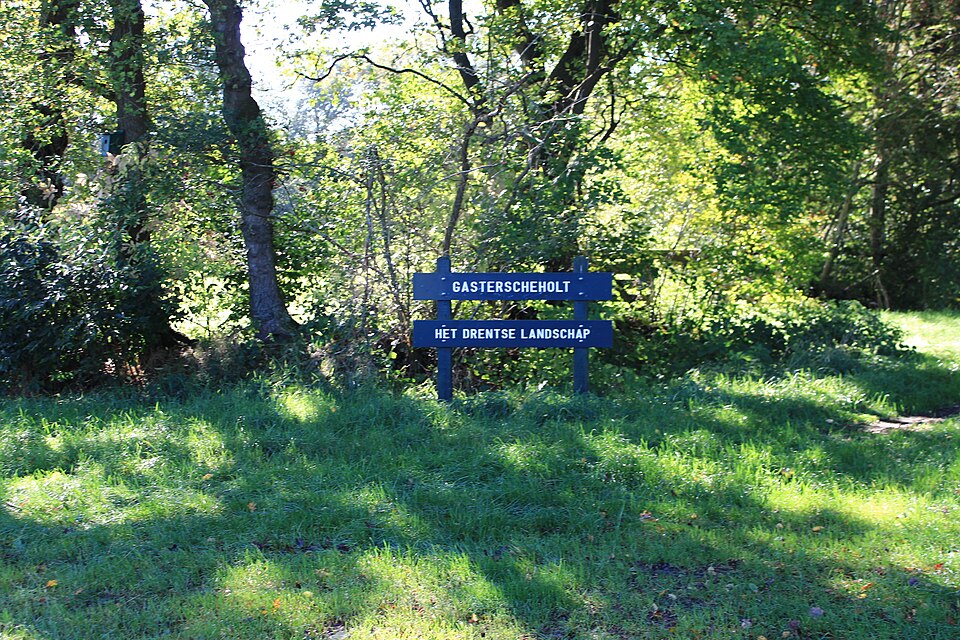 Gastersche Holt, een oud dorpsbos