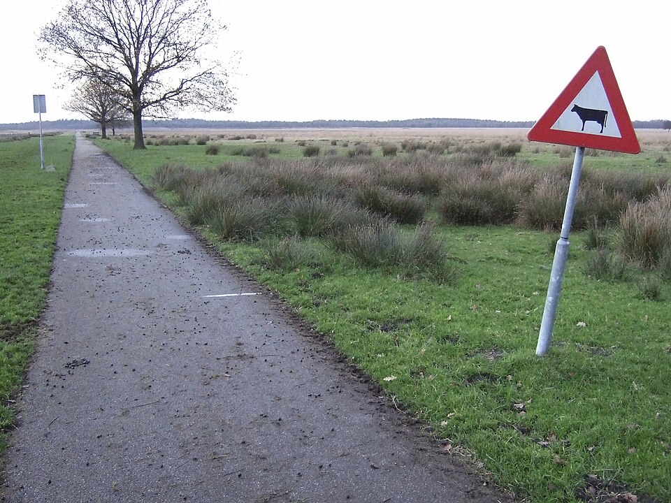Celtic field bij Anloo