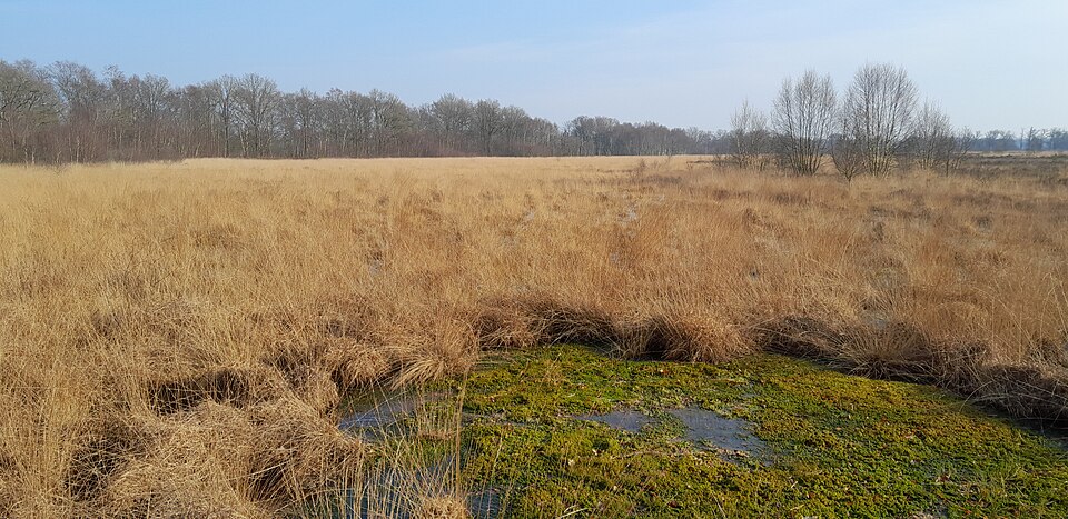 Vermoedelijke driemarkensteen in de Heest